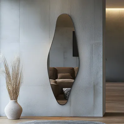 מראה מעוצבת אמורפית דגם DOLPH מסגרת שחורה